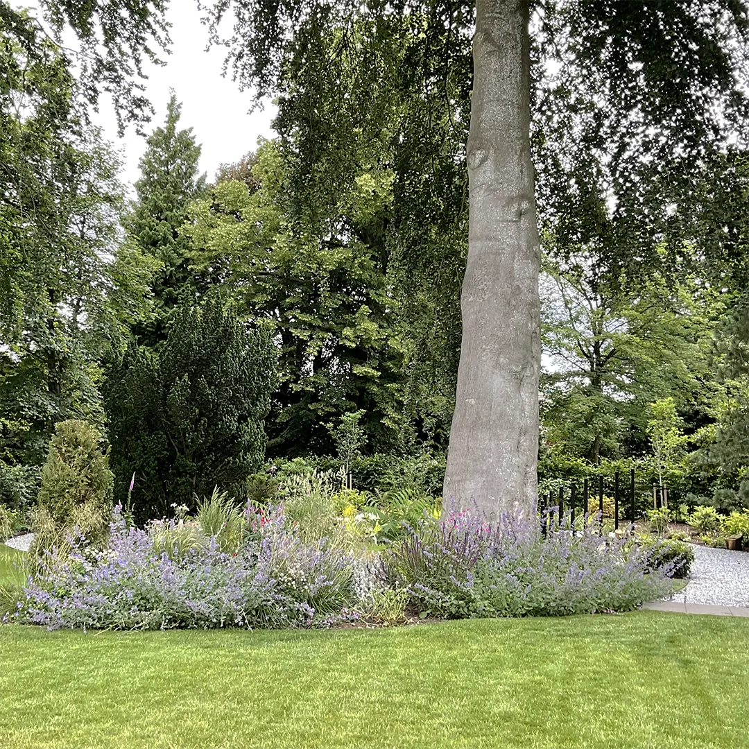 A large garden with a colourful flower bed in the middle and a path to the right.